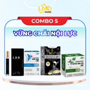 COMBO 5: VỮNG CHÃI NỘI LỰC